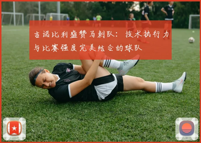 吉诺比利盛赞马刺队：技术执行力与比赛强度完美结合的球队